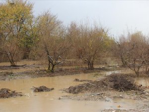 Antalya'da kuvvetli yağış su baskınlarına yol açtı