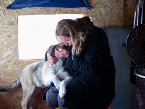 Kuş derneğinde sokak köpekleri de unutulmuyor