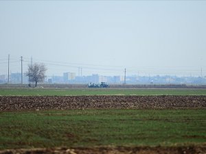 Kuraklık endişesi yaşayan Diyarbakır ve Mardinli çiftçinin yüzü son yağışlarla güldü