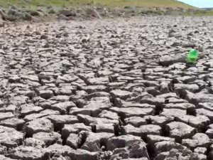 Kuraklık May Barajı'nda balık ölümlerine neden oldu