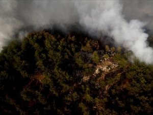 Orman yangınlarıyla mücadelede uçaklar da önemli rol üstleniyor