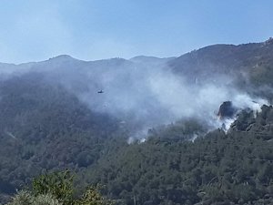 Muğla'da devam eden 5 yangına havadan ve karadan müdahalede bulunuluyor