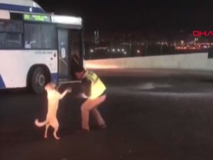 EGO şoförünün köpekle eğlenceli anları kamerada