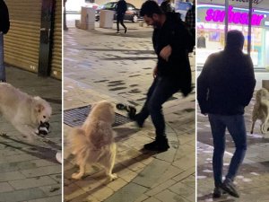 Teravih namazına gelen kişinin ayakkabısını kapıp kaçan köpek gülümsetti