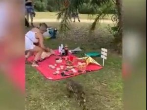 Piknik sofrasının davetsiz misafiri timsah korkuttu