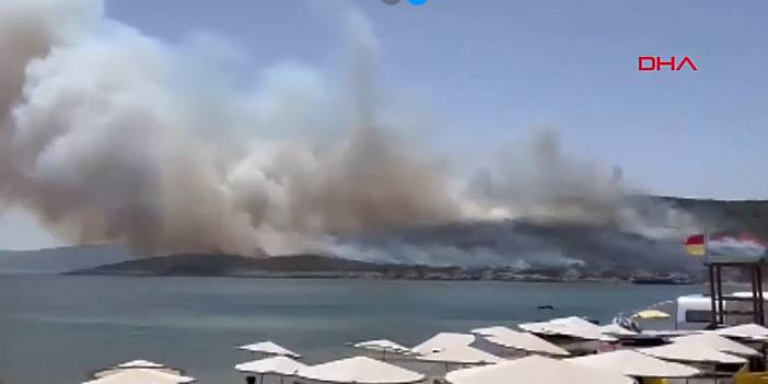 İzmir'de makilik yangını