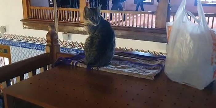 Hacı Bayram Veli Camii'ndeki bu görüntü ziyaretçileri şaşırtıyor