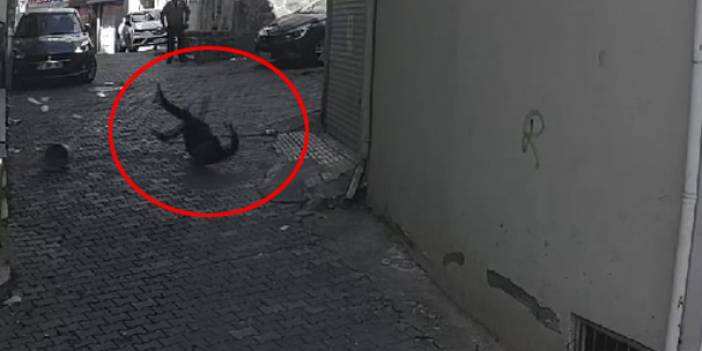 Sinop'ta korkunç ölüm! İşte adamın metrelerce yükseklikten düşüş anı