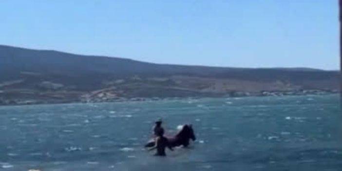 İzmir'de şaşırtan görüntüler! Sıcaktan bunalan bir at denize girdi