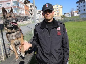 Jandarma köpeği "Fora" suçlulara göz açtırmıyor