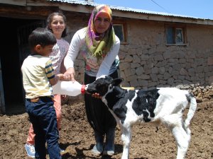 Ev hanımıydı, devlet desteğiyle besici oldu