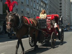 New York'ta faytonculuk geleneğini Türkler sürdürüyor