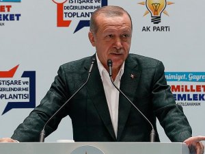 Cumhurbaşkanı Erdoğan'dan 'McKinsey' açıklaması
